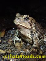 /home//u458753944/public_html/sourcegallery//McKaig Nature Center/2020-09-27/P9270759.JPG